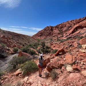 Meet your Posher, Catherine